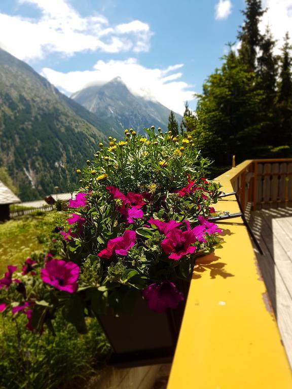 Hotel Alpenperle Saas Fee 외부 사진